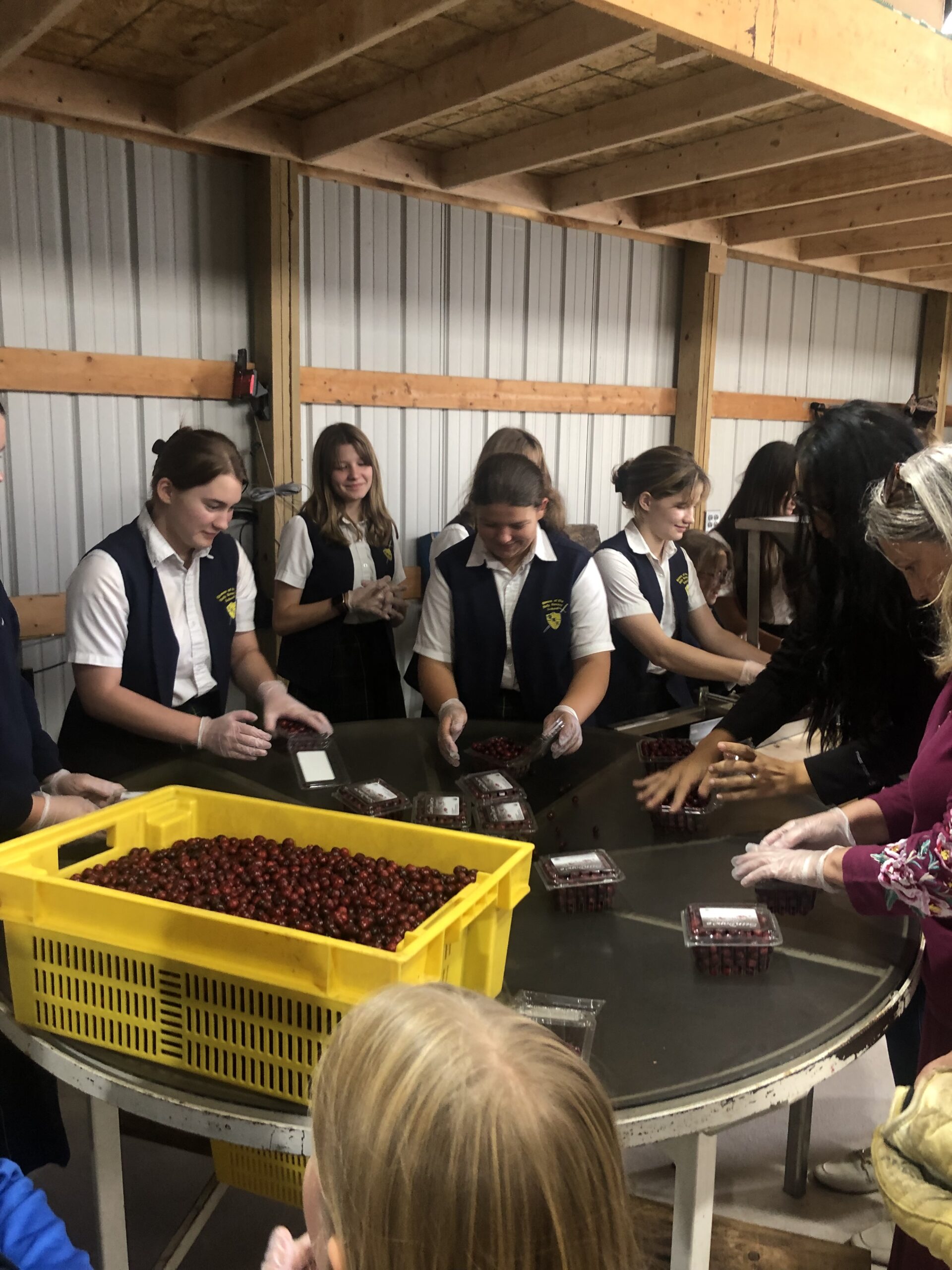 Sundance Cranberry – October 2023